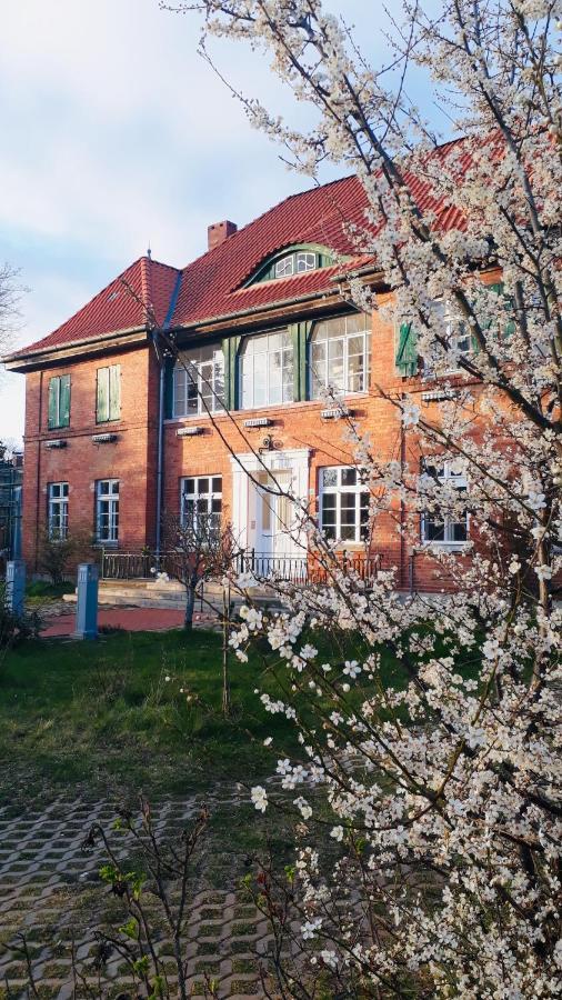 Ferienwohnung Haus 2 Linden Lischow Exterior foto